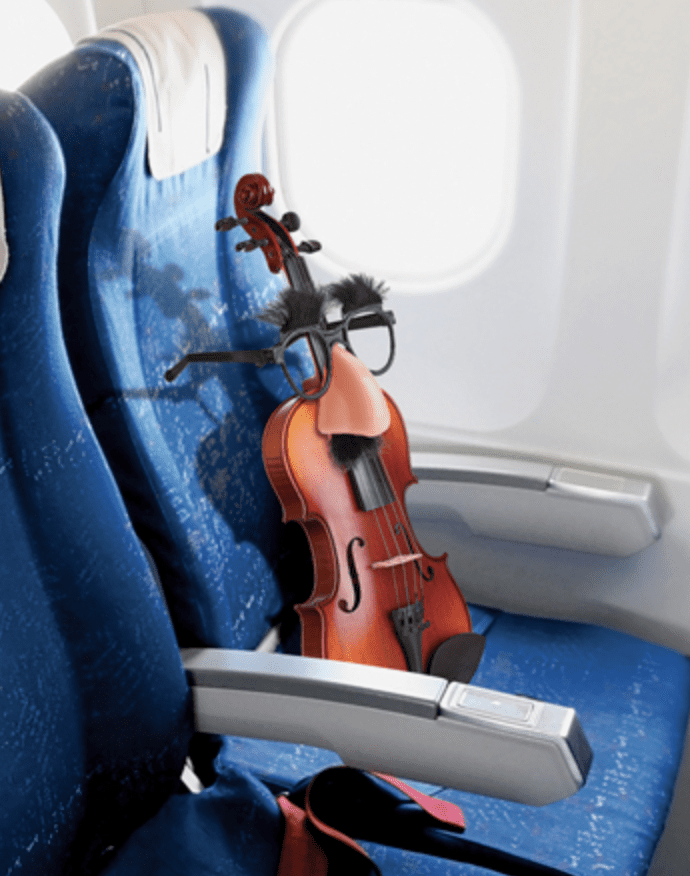 Air New Zealand baggage policy for musical instruments