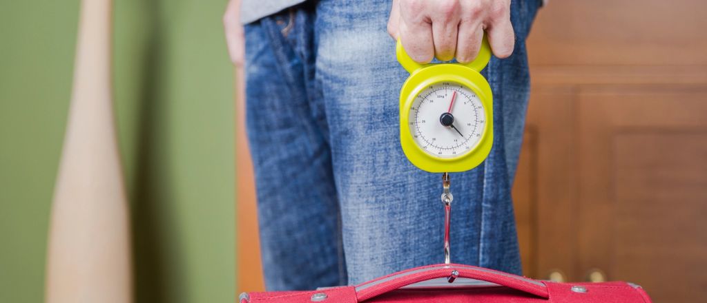 IndiGo Excess Baggage (Extra Baggage)