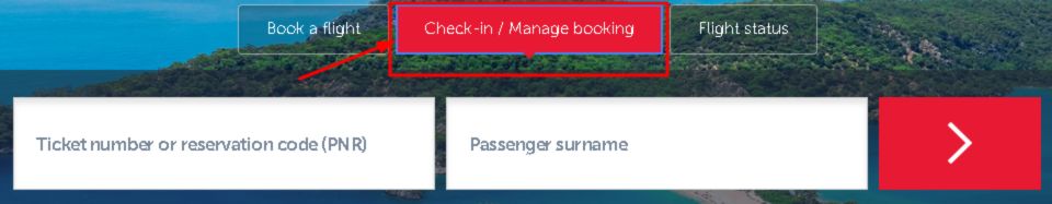 Turkish Airlines Online Check in
