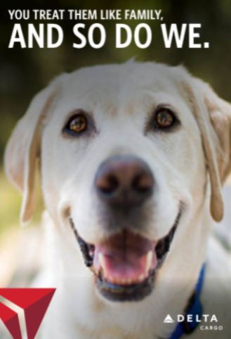 Delta Airlines Pet Cargo Policy