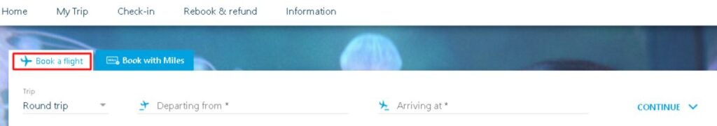 KLM Online Reservations